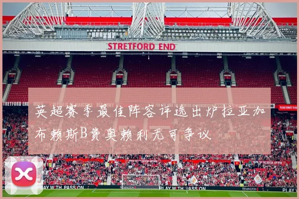 英超赛季最佳阵容评选出炉拉亚加布赖斯B费奥赖利无可争议