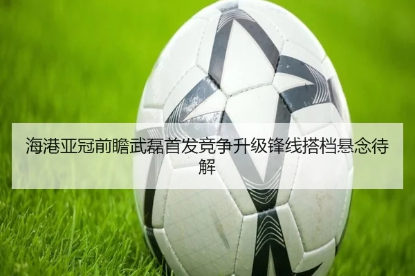 海港亚冠前瞻武磊首发竞争升级锋线搭档悬念待解